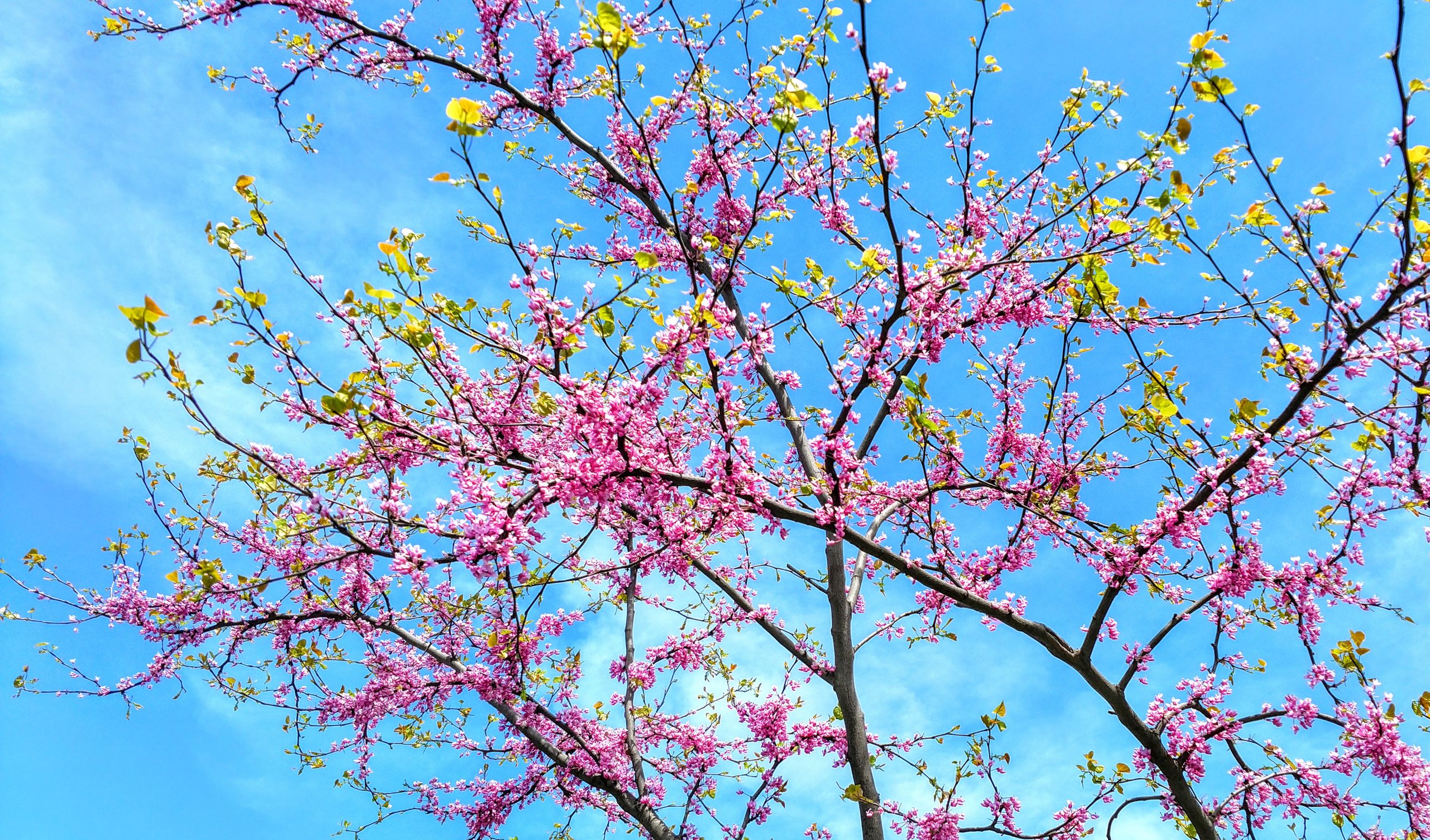 Just Some Good News Just Some Good News