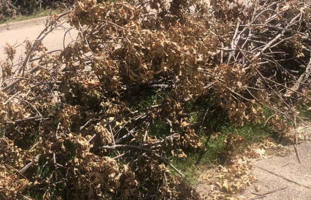 Kurt’s Blog: Anniversaries, School, and an Unneeded COVID Test? Kurt’s Blog: Anniversaries, School, and an Unneeded COVID Test?