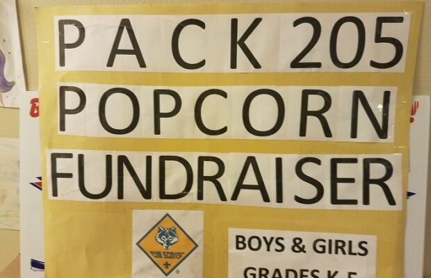 Cub Scout Pack 205 Popcorn Fundraiser