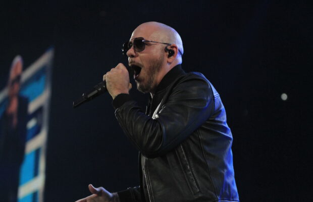 Pitbull Pitbull