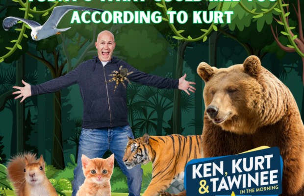 Bee Season is Kurt’s Scary Season Bee Season is Kurt’s Scary Season