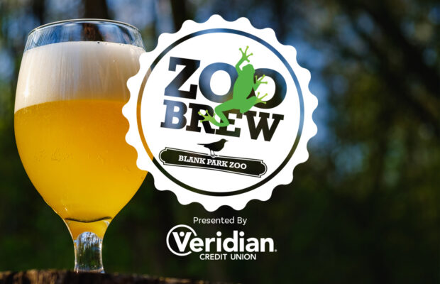Zoo Brew