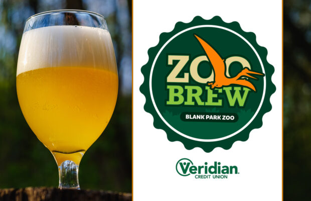 Zoo Brew 6/11