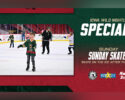 Iowa Wild Sunday Skates